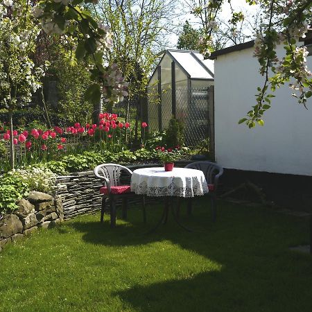 Ferienwohnung Haus "Anna" บาดบลังเคนบวร์ก ภายนอก รูปภาพ